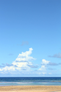 a0117335_23304618.jpg