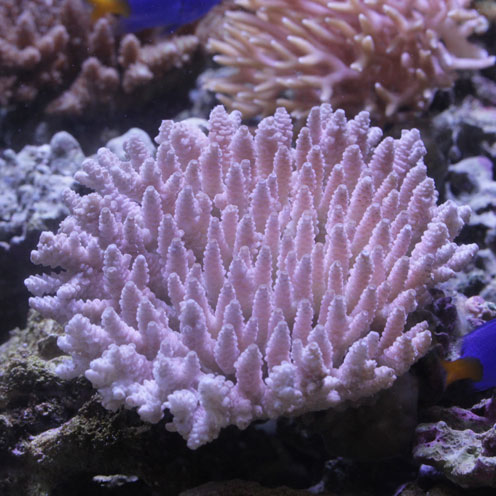 d0221436_2326425.jpg