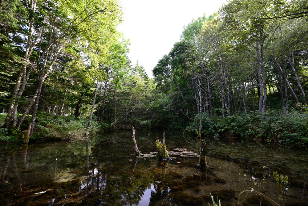 c0221838_20451351.jpg
