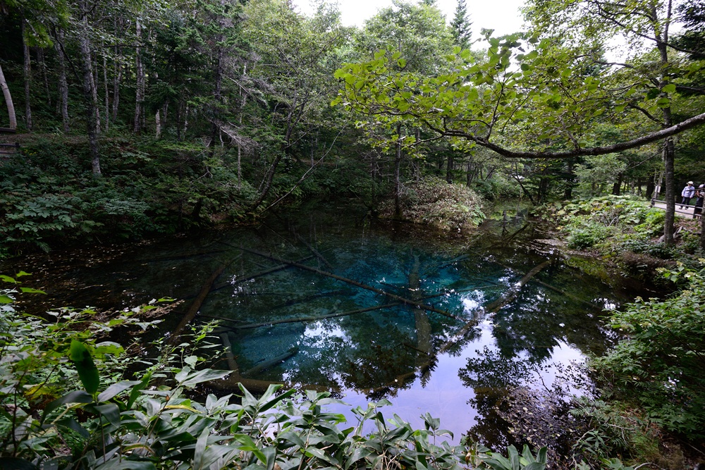 c0221838_2045551.jpg