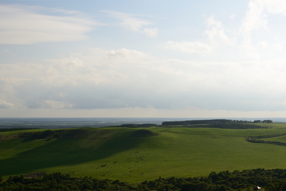 c0221838_20483691.jpg