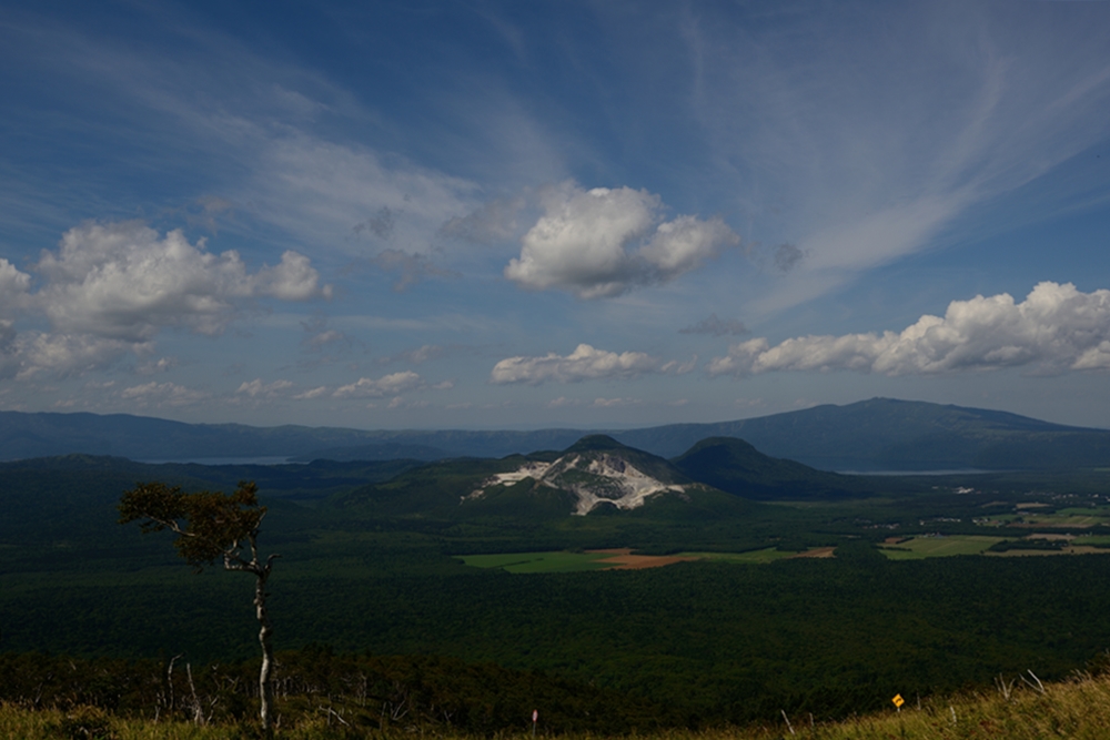 c0221838_20582715.jpg