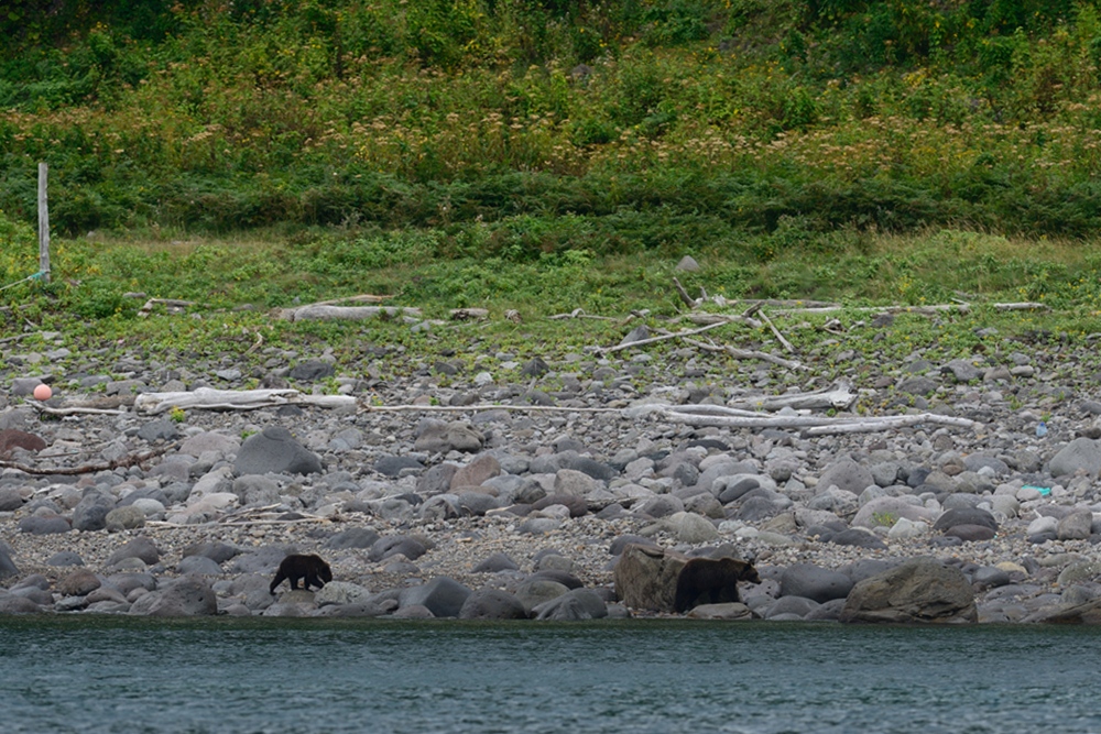 c0221838_22591551.jpg