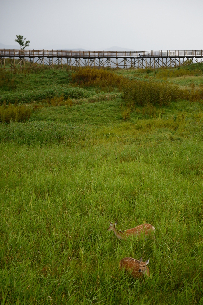 c0221838_237437.jpg
