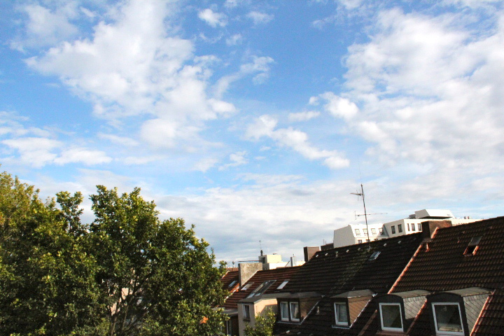 c0153740_23533373.jpg