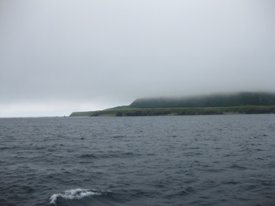 f0141840_23594971.jpg