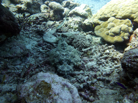 f0014842_2033426.jpg