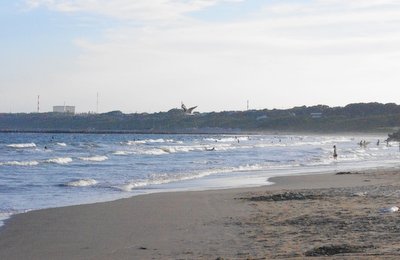 a0142343_1018952.jpg