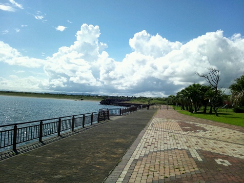 a0053648_23311617.jpg
