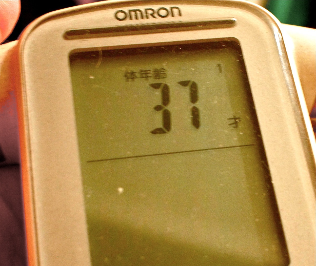 f0000655_1232240.jpg