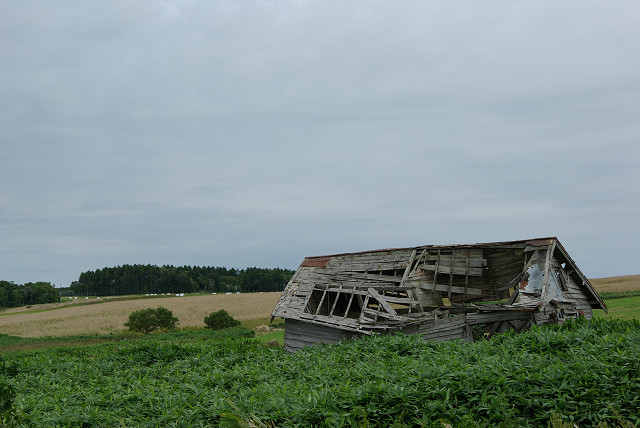c0080357_20424239.jpg