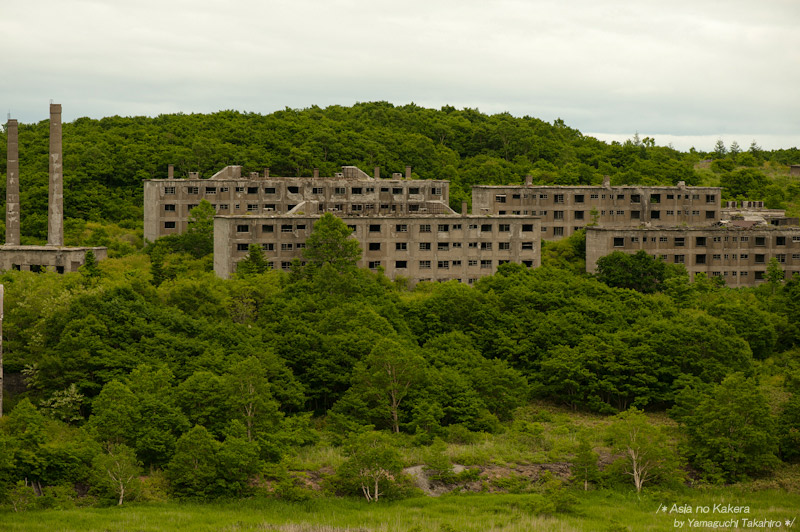 d0080957_21151930.jpg