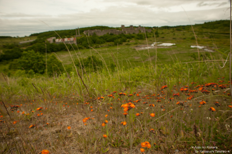 d0080957_21152269.jpg