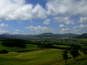 c0060659_22401733.jpg