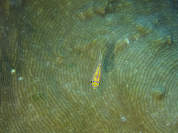 b0062363_21562841.jpg