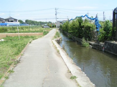 c0112172_3152486.jpg