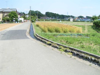 c0112172_315402.jpg