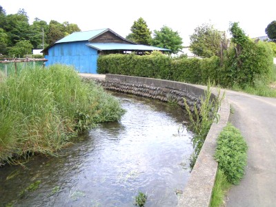 c0112172_315587.jpg