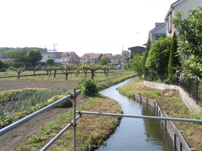 c0112172_3163245.jpg