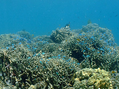 b0033573_225337.jpg