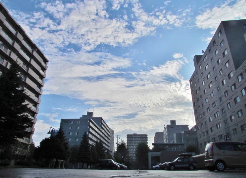 c0183777_9571019.jpg