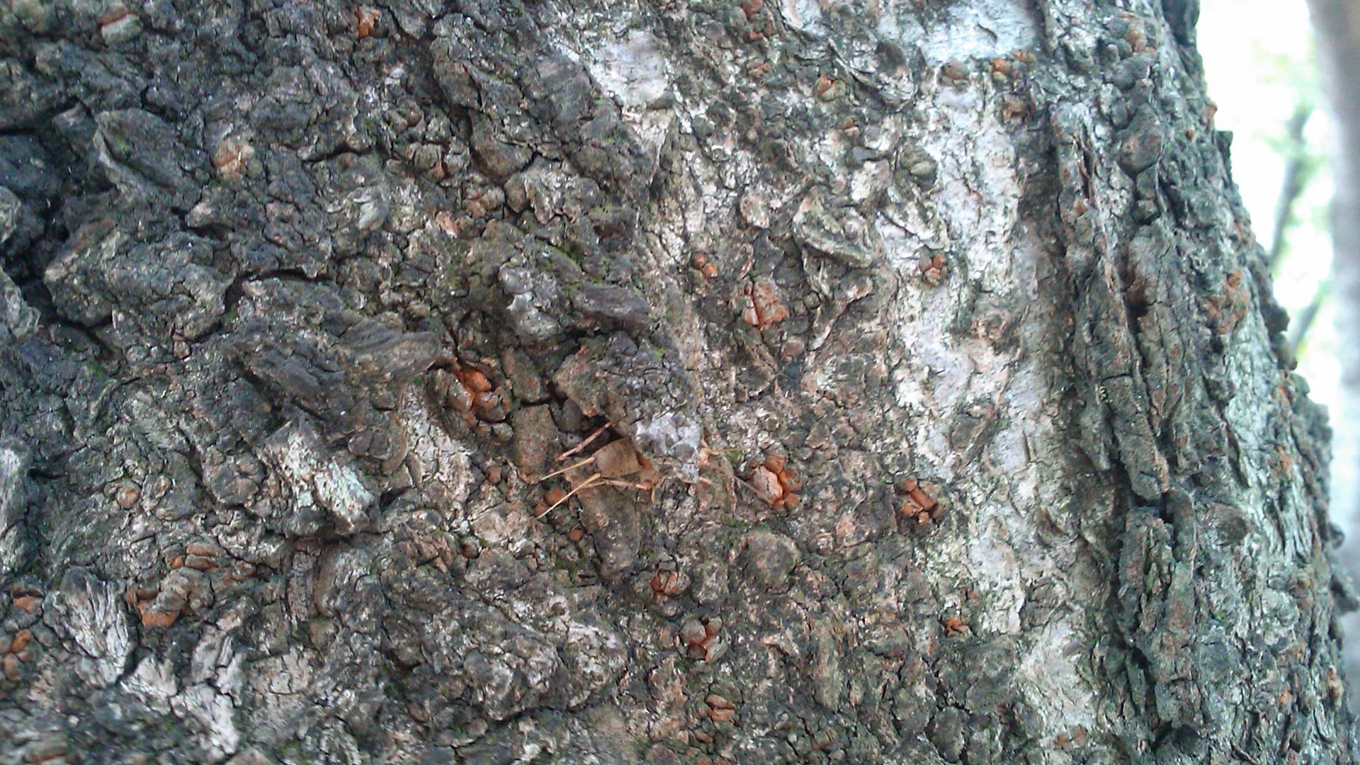 e0249878_23152120.jpg