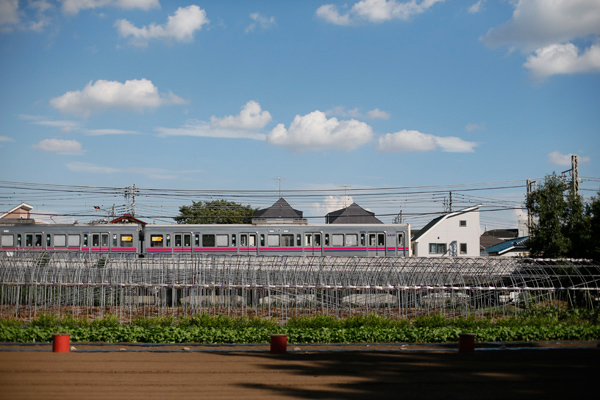 d0089281_11291655.jpg