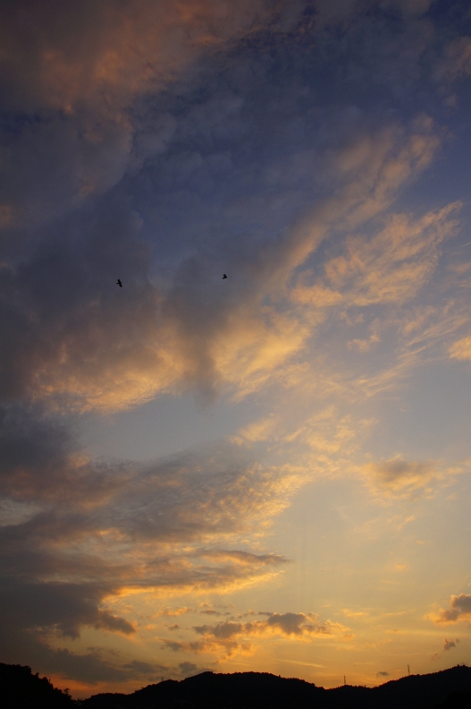 f0189086_1953097.jpg