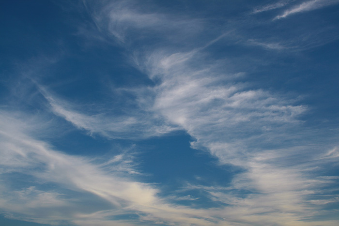d0016587_0431987.jpg