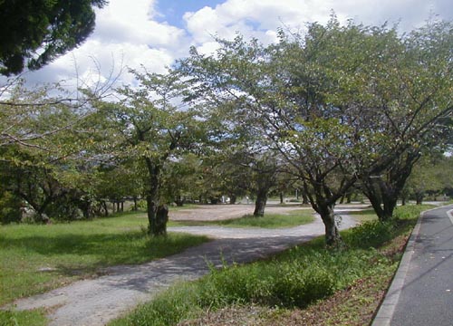 d0053294_23193482.jpg
