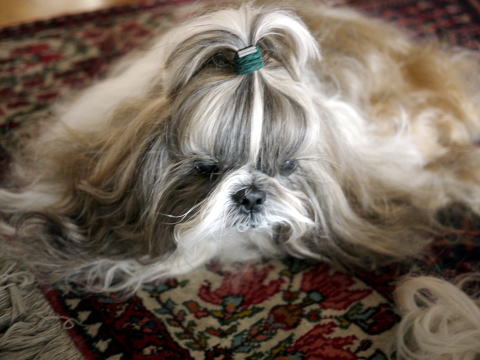 c0090198_2132940.jpg