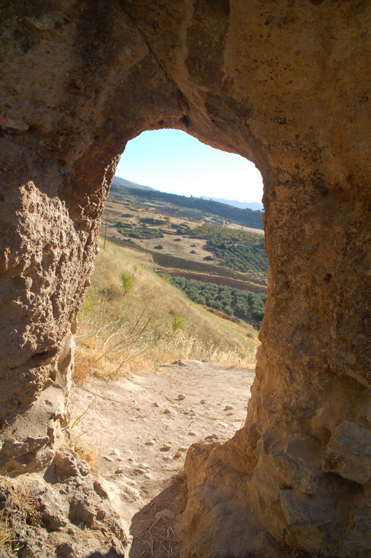 e0061699_828435.jpg