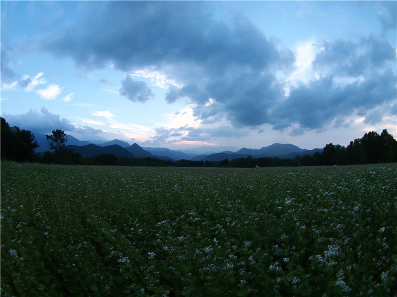 f0224100_2353095.jpg