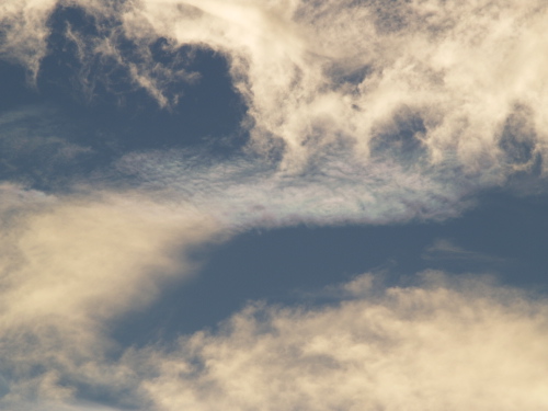 e0089001_22411152.jpg