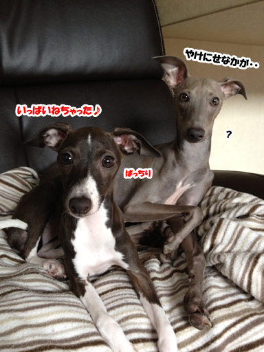 e0290901_16434563.png