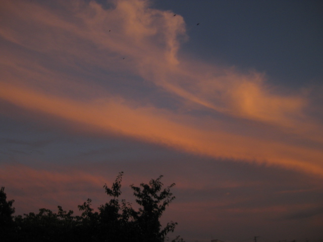 f0236201_1813757.jpg