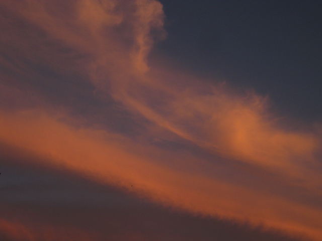 f0236201_182963.jpg