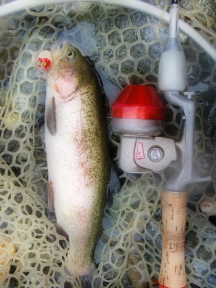 c0023804_8315717.jpg