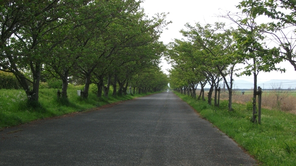 c0245816_23291272.jpg