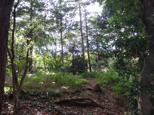 e0016828_2393371.jpg