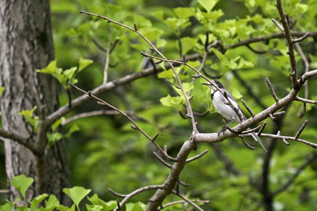 a0242438_2055121.jpg
