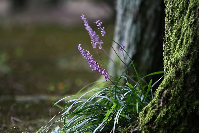 a0242438_2061825.jpg