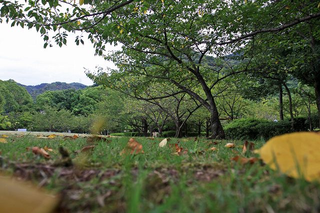 a0242438_206591.jpg