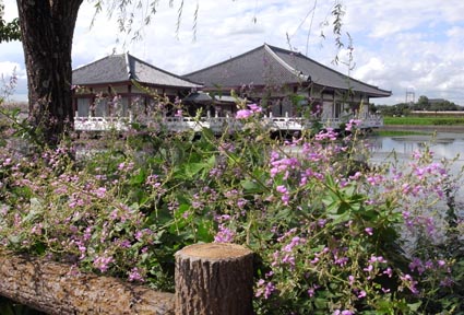 a0100742_113728.jpg