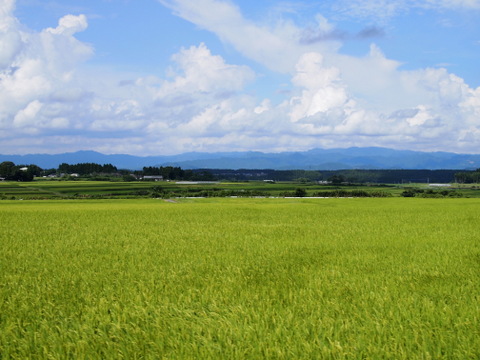 b0199742_20541863.jpg