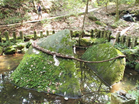 b0199742_20574542.jpg