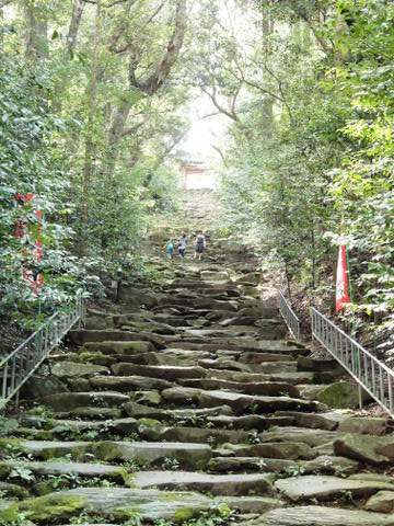 b0199742_20582217.jpg