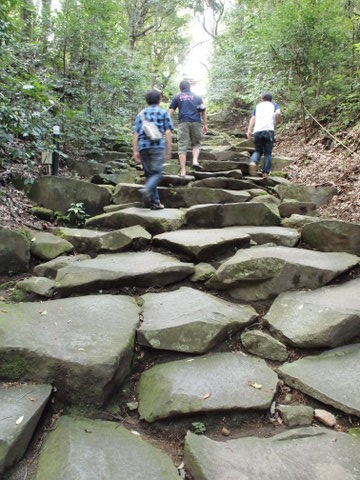 b0199742_210480.jpg