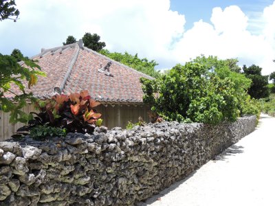 d0142944_19451768.jpg