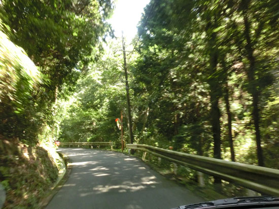 a0051849_8593539.jpg